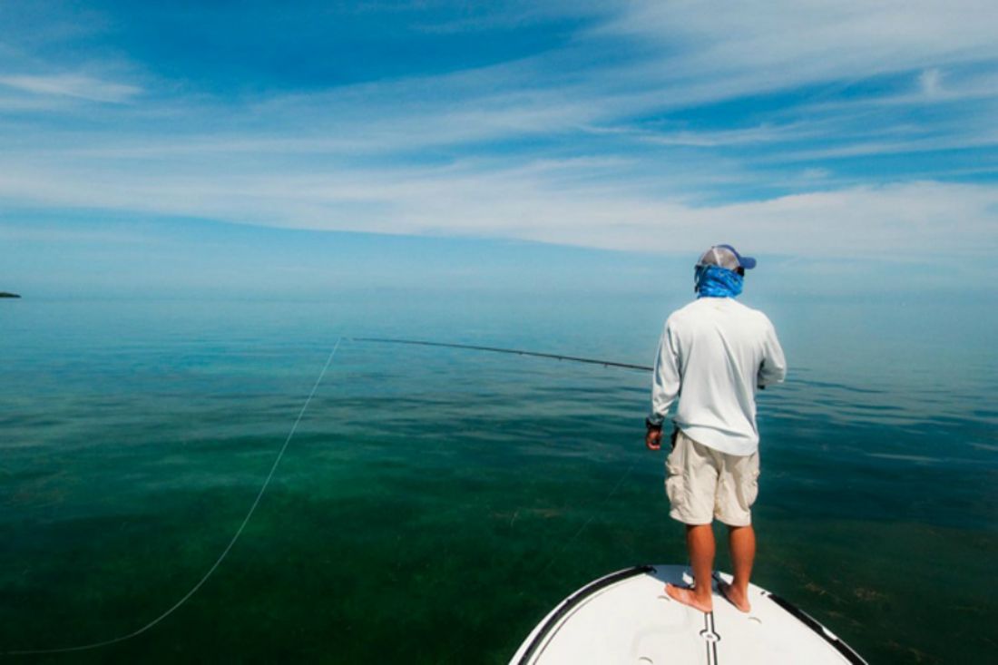 Mahi-Mahi vs. Wahoo: Cancun’s Offshore Duel